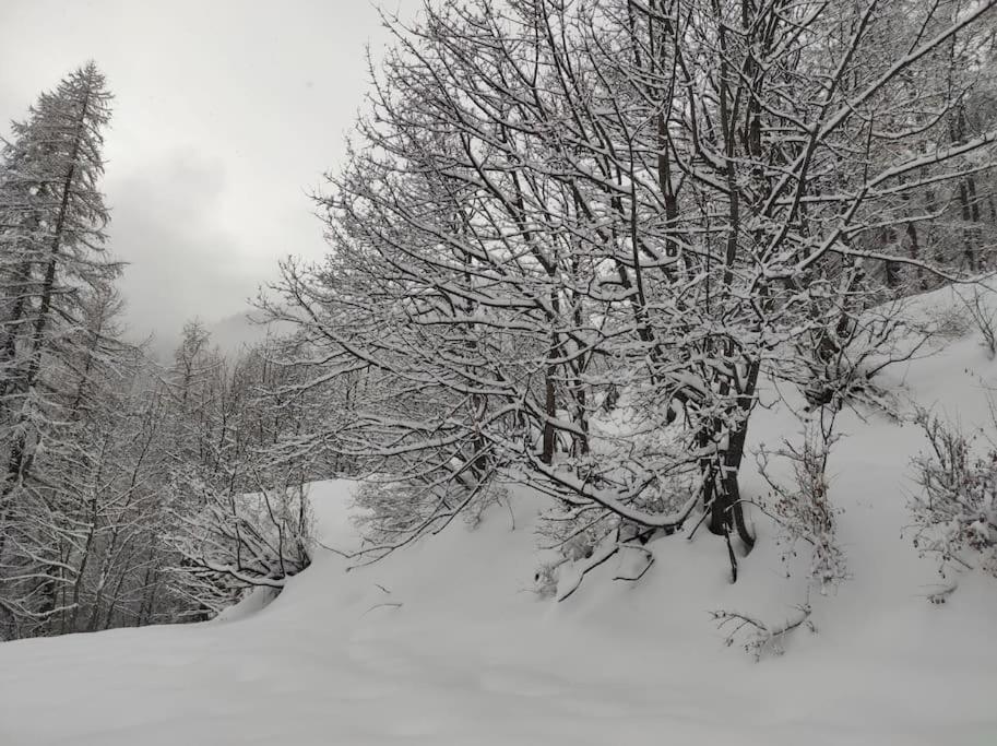 Appartement vue montagne, cosy et chaleureux Briançon Extérieur photo